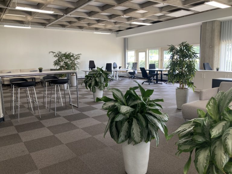 Rummeligt kontorlandskab med planter, barborde og arbejdspladser